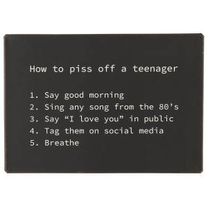 Ib Laursen Metallschild "How to piss off a teenager"