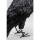 Kare Tischleuchte Animal Crow matt schwarz