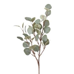 Bloominghome Dekozweig Eukalyptus