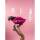 Kare Vase Lips Pink 28 cm